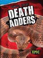 Death Adders