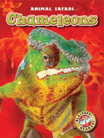 Chameleons