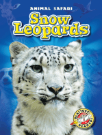 Snow Leopards