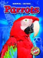 Parrots