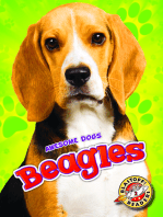 Beagles