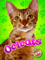 Ocicats