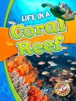 Life in a Coral Reef