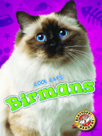 Birmans