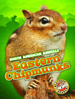 Eastern Chipmunks