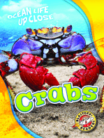 Crabs