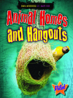 Animal Homes and Hangouts