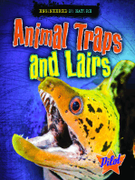 Animal Traps and Lairs