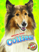 Collies