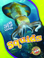 Squids