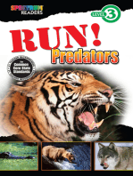 Run! Predators: Level 3
