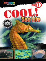 Cool! Sea Life: Level 1