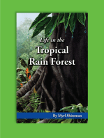 Life in the Tropical Rain Forest: Reading Level 5