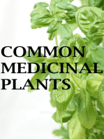 Common Medicinal Plants