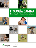 Etología canina: Guía básica sobre el comportamiento del perro 