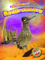 Roadrunners