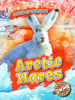 Arctic Hares