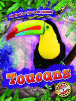 Toucans