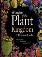 Wonders of the Plant Kingdom