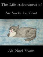 The Life Adventures of Sir Socks Le Chat