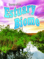 Seasons Of The Estuary Biome