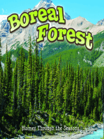 Seasons Of The Boreal Forest Biome