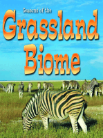 Seasons Of The Grassland Biome