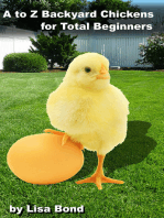 A to Z Backyard Chickens for Total Beginners