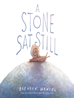 A Stone Sat Still