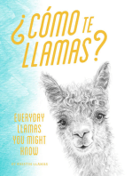¿Como te llamas?: Everyday Llamas You Might Know