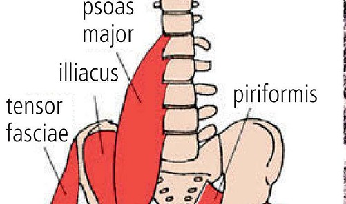 Youtube deep front line fascia