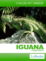 Iguana: Um Guia prático