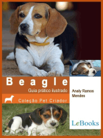 Beagle: Guia prático ilustrado