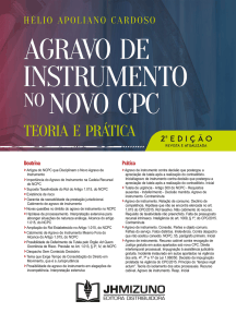 Agravo de Instrumento no Novo CPC - 2ª edição: Teoria e Prática