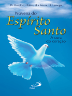 Novena Espírito Santo: A cura do coração