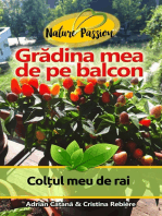 Grădina mea de pe balcon