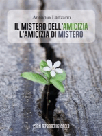 Il mistero dell'amicizia, l'amicizia di mistero