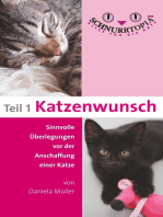 Schnurrtopia: Teil 1 - Katzenwunsch. Sinnvolle Überlegungen vor der Katzenanschaffung