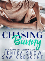 Chasing Bunny