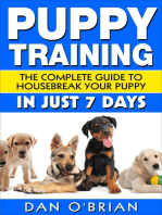 Puppy Training