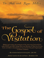 Gospel of Visitation