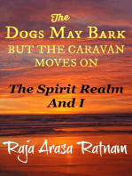 The Dogs May Bark But the Caravan Moves On: The Spirit Realm And I