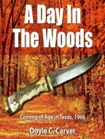 A Day In The Woods, Coming of Age in Texas 1966