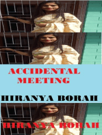 Accidental Meeting