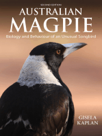 Australian Magpie: Biology and Behaviour of an Unusual Songbird