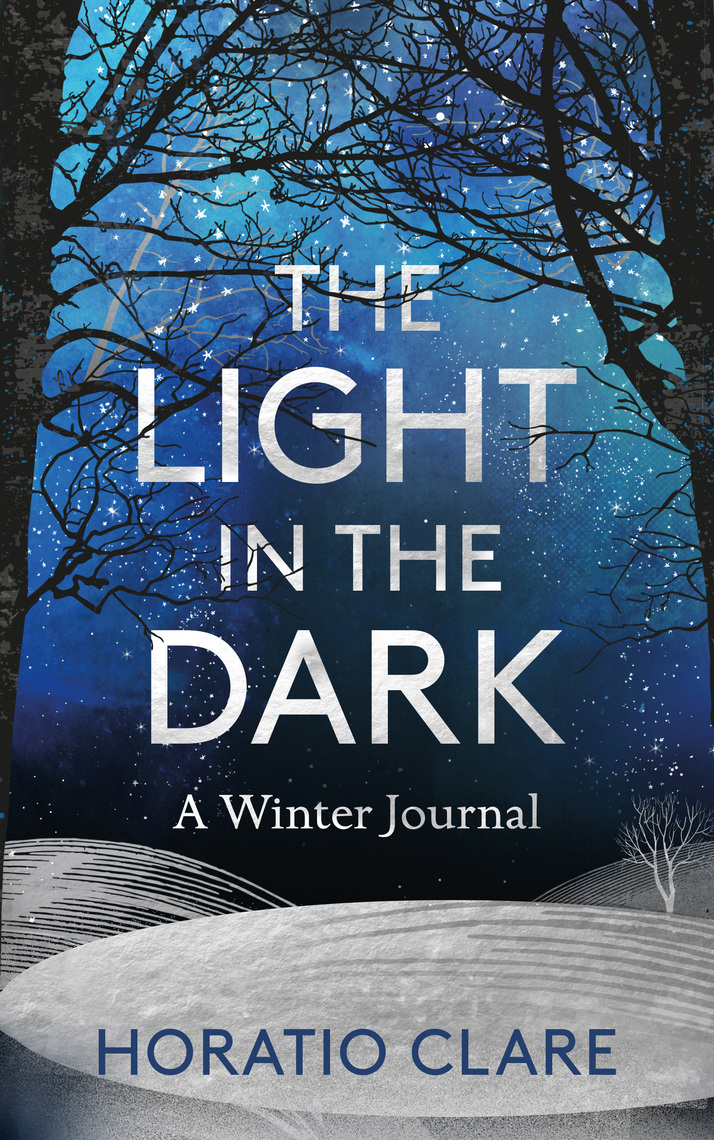 Read The Light in the Dark Online by Horatio Clare Books