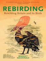 Rebirding