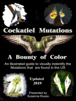 Cockatiel Mutations