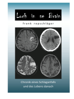 Loch in se Brain: Chronik eines Schlaganfalls und des Lebens danach