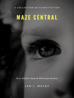 Maze Central